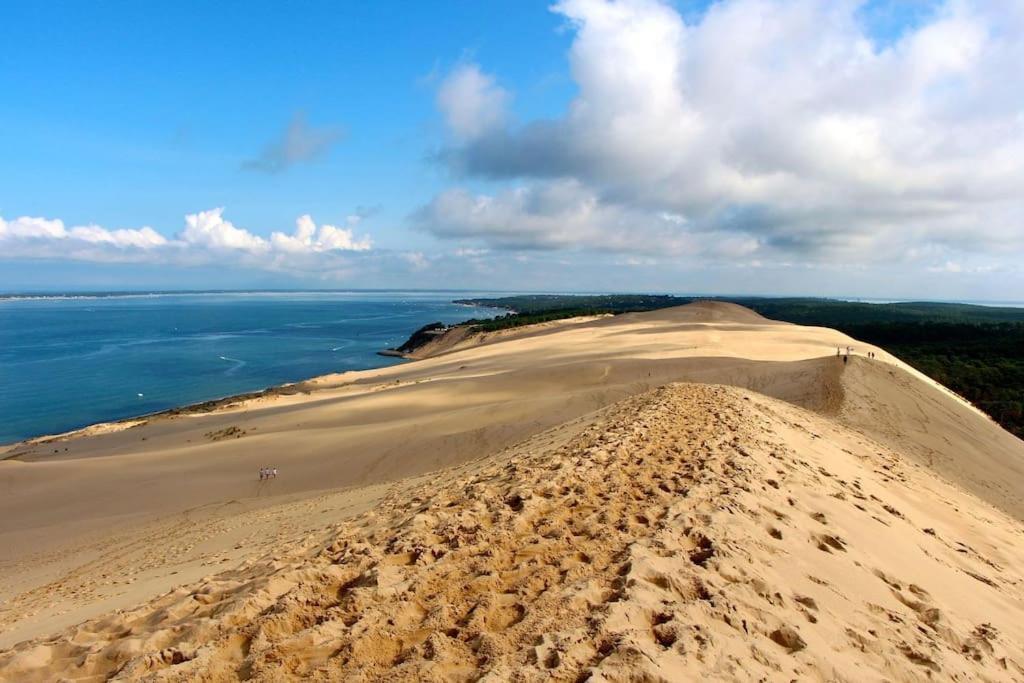 La Cle Des Vignes Villa Saint-Medard-d'Eyrans ภายนอก รูปภาพ